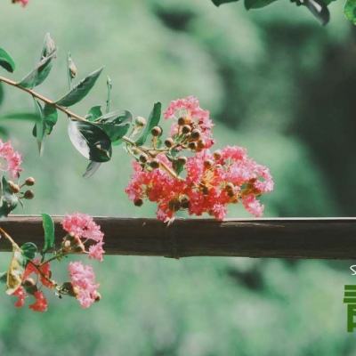 pg电子娱乐官网游戏