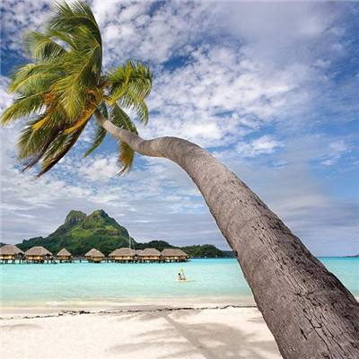 千亿国际app下载截图