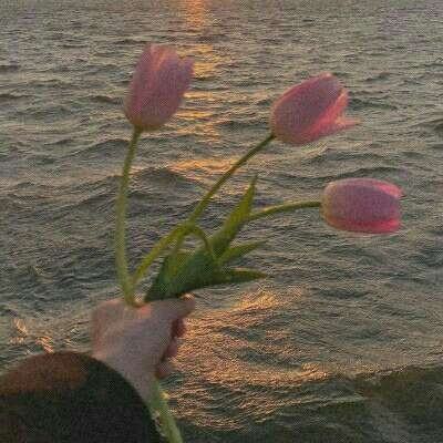 炸金花游戏手机app下载