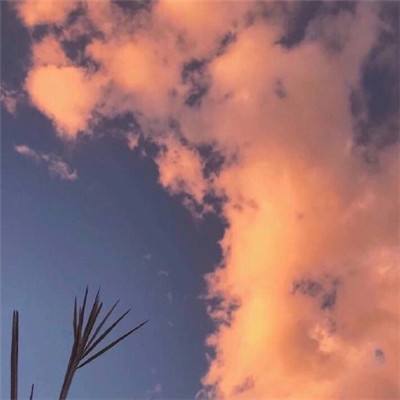 博鱼电竞手机app下载