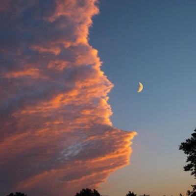 新宝十大登录平台