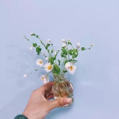 棋牌www官方网址入口