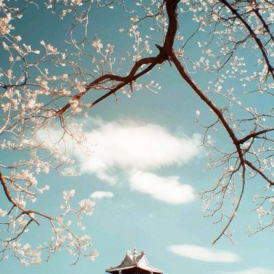 炸金花游戏手机app下载