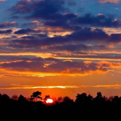 hth·华体育APPapp下载