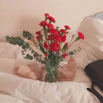 官方盈彩app下载