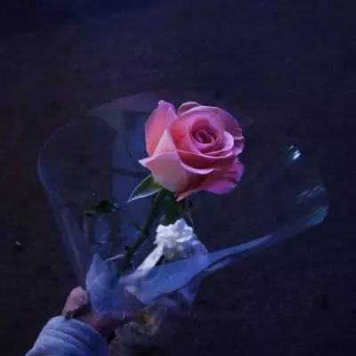 皇冠体官方网站app