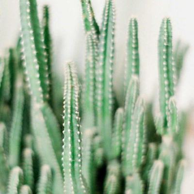 千亿国际app下载